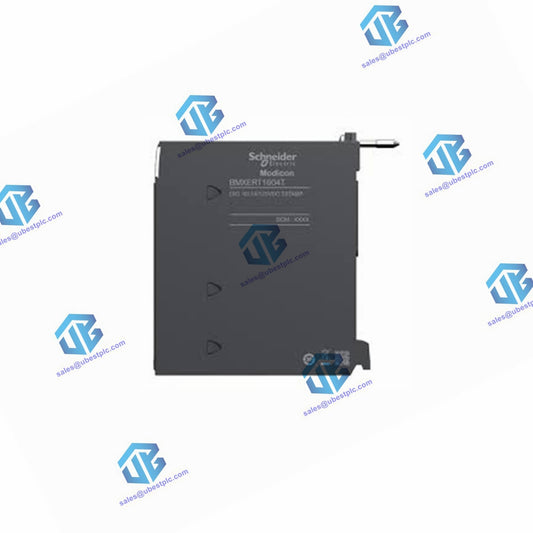 BMXERT1604 Schneider Multifunction Input Module